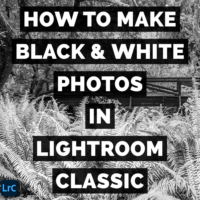 The Best Way To Make Black & White Photos With Lightroom Classic