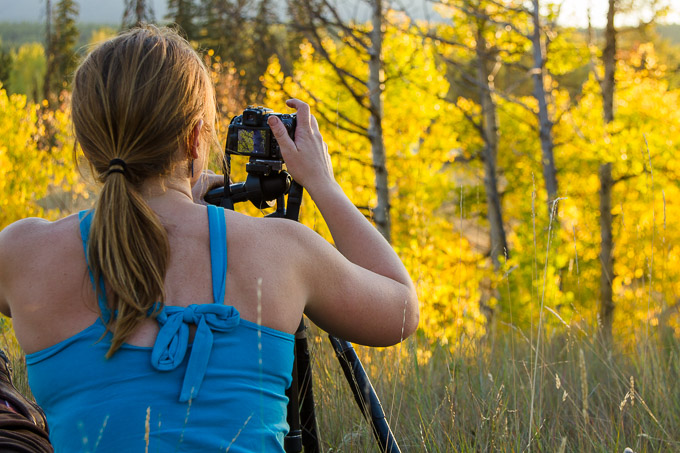 Photographer And Fall Aspen Trees