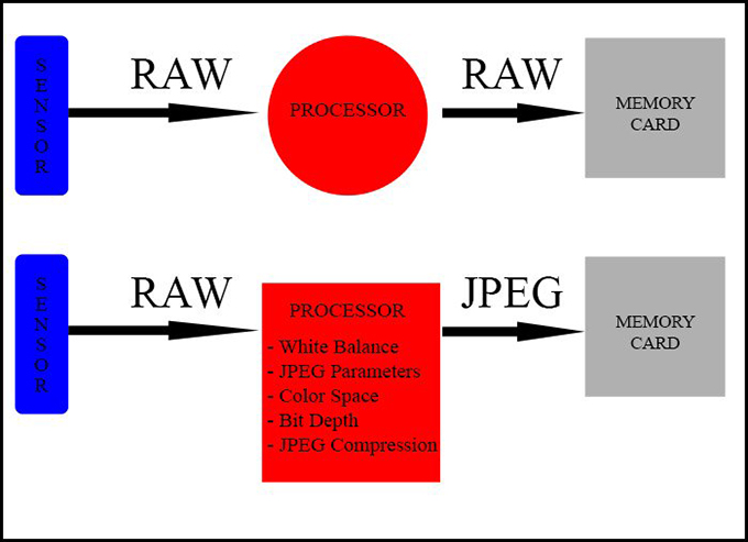 Jpeg vs raw image capture processing chart