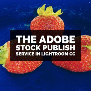 Adobe Stock Publish Service