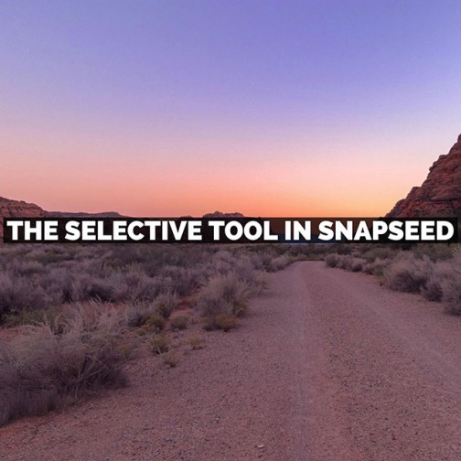 snapseed selective tool