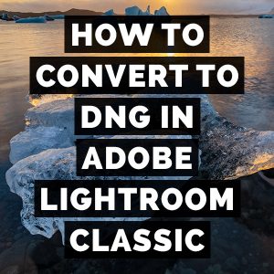 How To Convert To Dng In Adobe Photoshop Lightroom Classic
