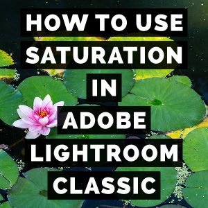 How To Use Saturation In Adobe Photoshop Lightroom Classic