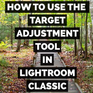How To Use The Targeted Adjustment Tool In Adobe Photoshop Lightroom Classic