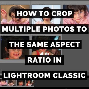 How To Crop Multiple Photos To The Same Aspect Ratio In Adobe Photoshop Lightroom Classic
