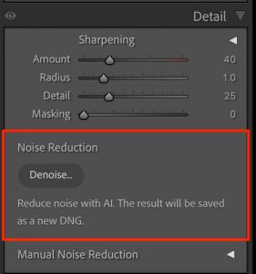 AI-Powered Denoise Button In Adobe Photoshop Lightroom Classic