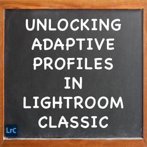 Adaptive Profiles In Adobe Lightroom Classic