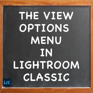 The View Options Menu In Adobe Lightroom Classic