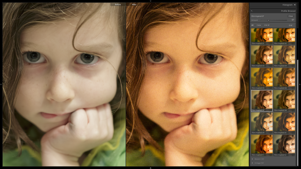 Film-Inspired Presets & Profiles Example