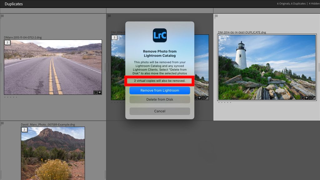 Lightroom Detect Duplicates With Virtual Copies Warning
