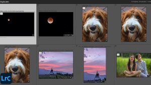 Detect Duplicates In Lightroom Classic