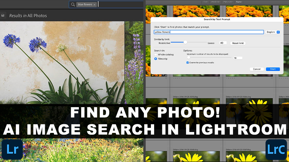 AI Powered Semantic Search In Adobe Lightroom and Lightroom Classic