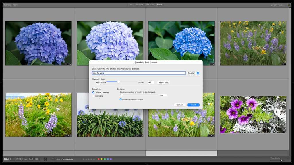 AI Image Search In Adobe Lightroom Classic with Excire Search