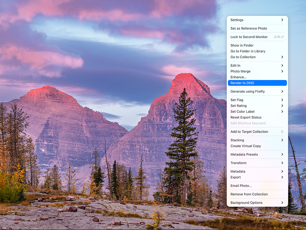 Render To DNG Command in Lightroom Classic