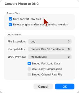 Lightroom Classic Convert Photo to DNG