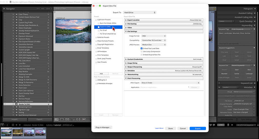 Lightroom Classic Export Dialog Convert To DNG