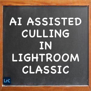 AI Assisted Culling In Adobe Lightroom Classic