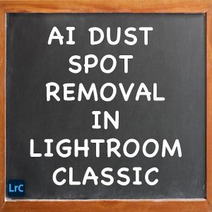 AI Dust Spot Removal in Lightroom Classic