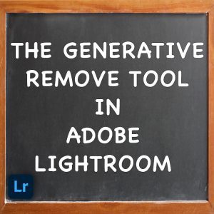 Generative Remove Tool in Adobe Lightroom